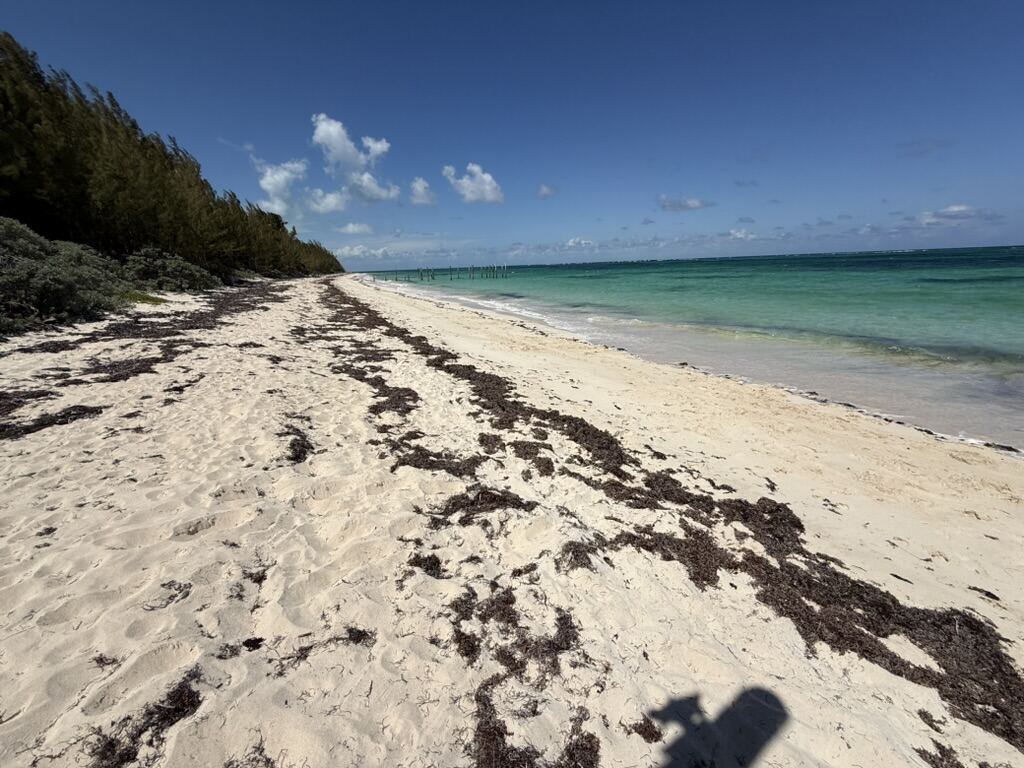 Long stretch of beach
